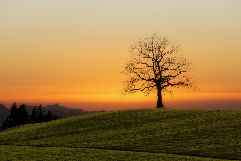 Sunset Nature Photography